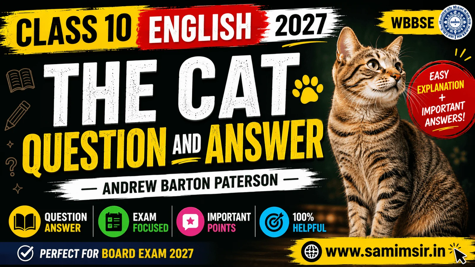 The Cat Question Answer